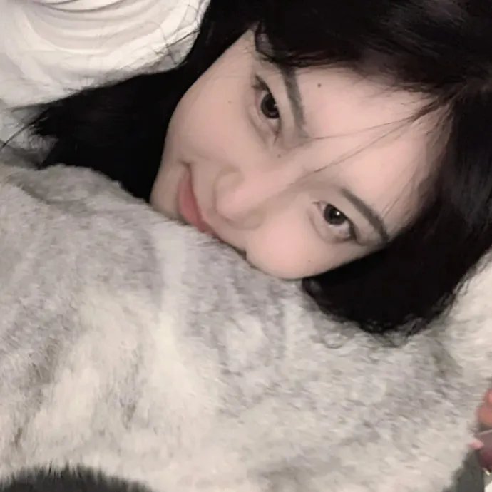 猫儿历险记国语 在线观看